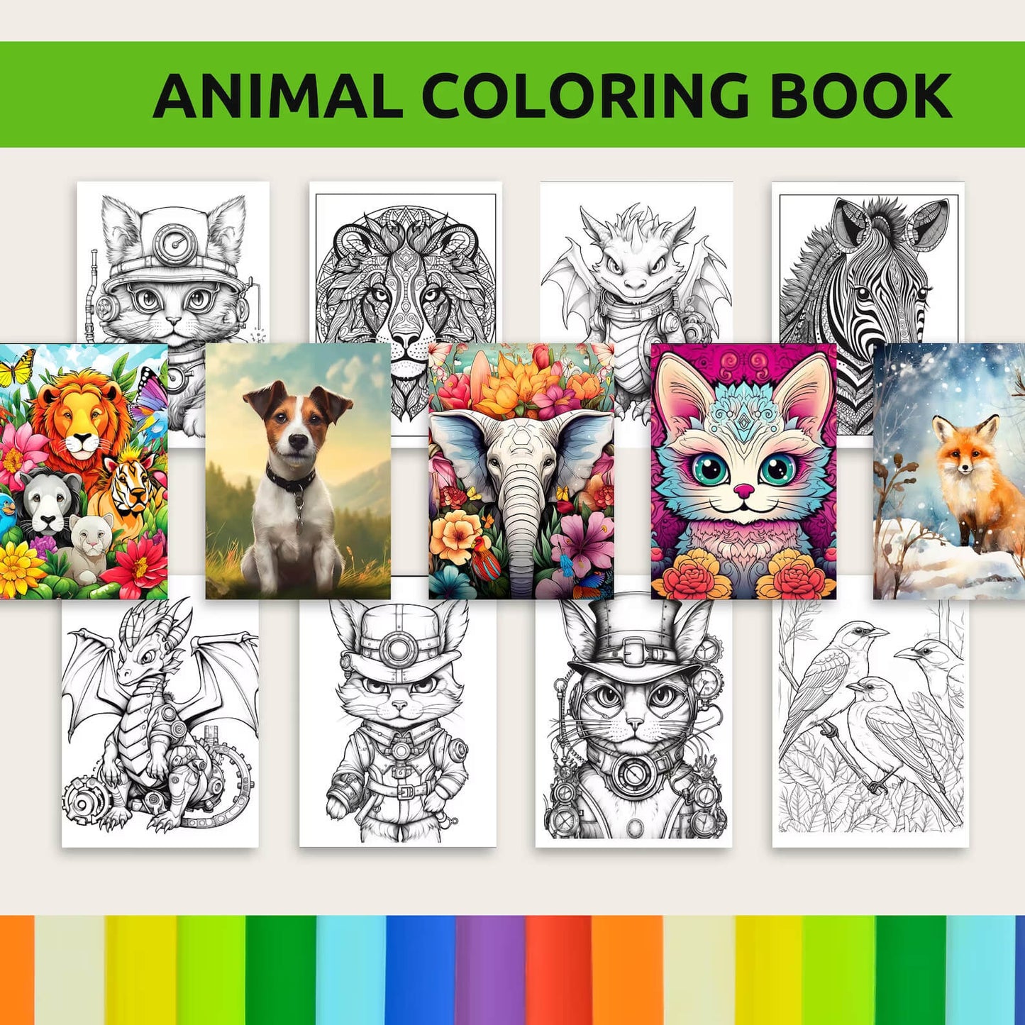10000+ Pages PLR Coloring Book| KDP Digital Products